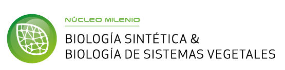 logo nucleo milenio psbl transparente-01
